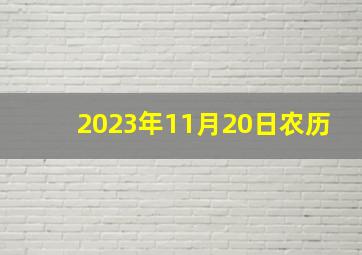 2023年11月20日农历