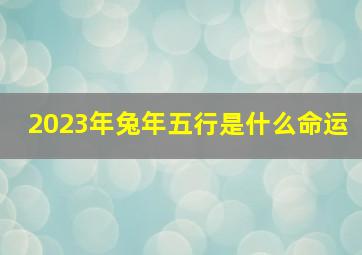 2023年兔年五行是什么命运