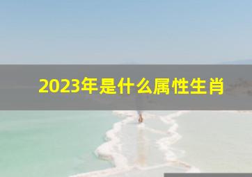 2023年是什么属性生肖