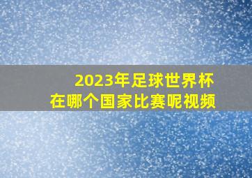 2023年足球世界杯在哪个国家比赛呢视频