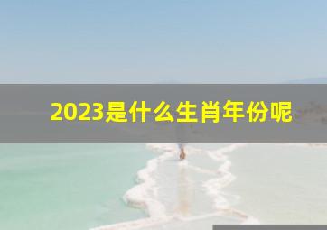 2023是什么生肖年份呢