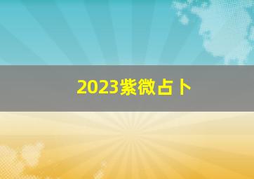 2023紫微占卜