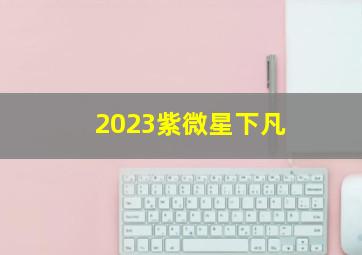 2023紫微星下凡