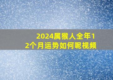 2024属猴人全年12个月运势如何呢视频