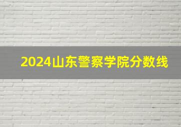 2024山东警察学院分数线