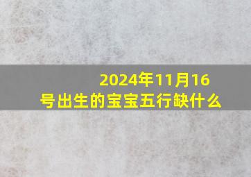 2024年11月16号出生的宝宝五行缺什么