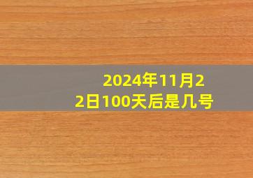 2024年11月22日100天后是几号