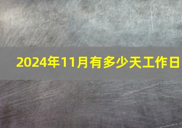 2024年11月有多少天工作日