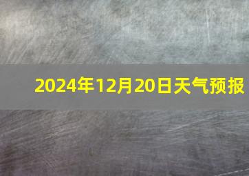 2024年12月20日天气预报