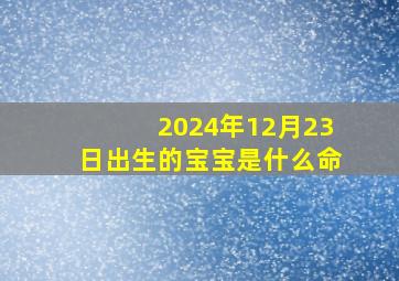 2024年12月23日出生的宝宝是什么命