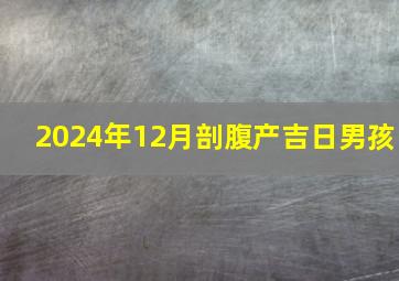 2024年12月剖腹产吉日男孩