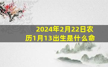 2024年2月22日农历1月13出生是什么命