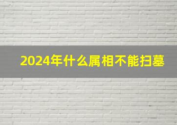 2024年什么属相不能扫墓