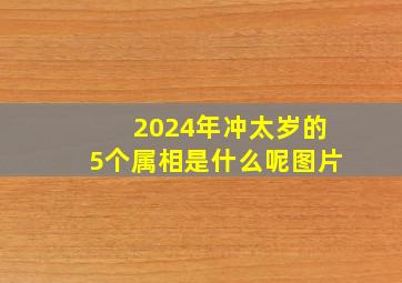 2024年冲太岁的5个属相是什么呢图片