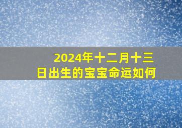 2024年十二月十三日出生的宝宝命运如何