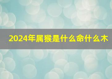 2024年属猴是什么命什么木