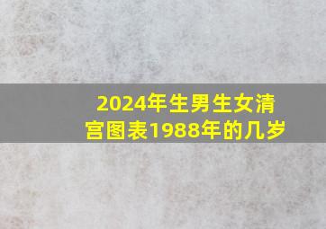 2024年生男生女清宫图表1988年的几岁