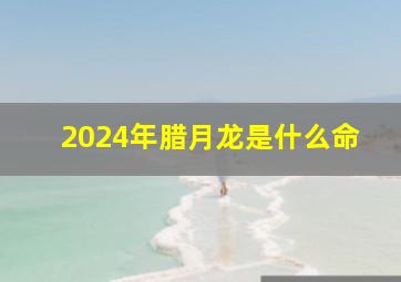 2024年腊月龙是什么命