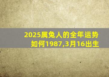 2025属兔人的全年运势如何1987,3月16出生