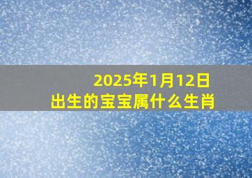 2025年1月12日出生的宝宝属什么生肖