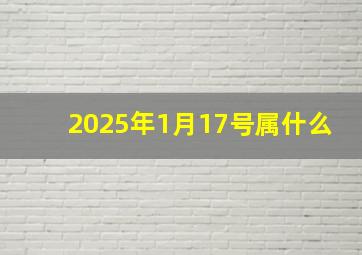 2025年1月17号属什么