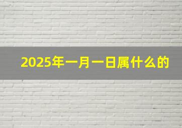 2025年一月一日属什么的