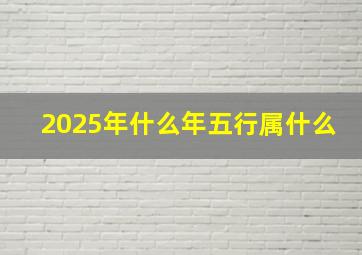 2025年什么年五行属什么