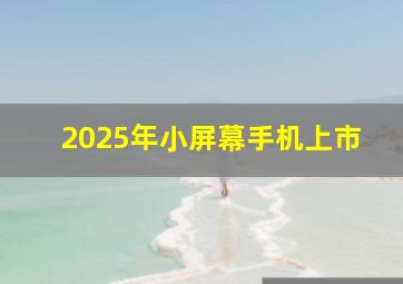 2025年小屏幕手机上市