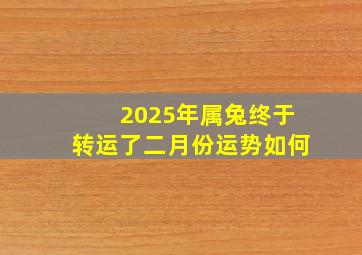 2025年属兔终于转运了二月份运势如何