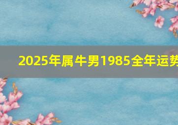 2025年属牛男1985全年运势