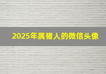 2025年属猪人的微信头像