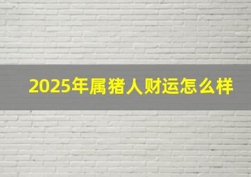 2025年属猪人财运怎么样