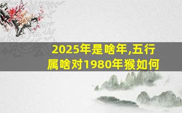 2025年是啥年,五行属啥对1980年猴如何