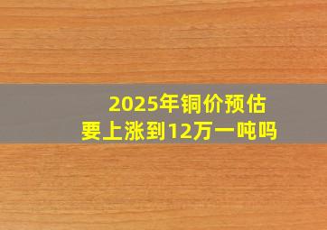 2025年铜价预估要上涨到12万一吨吗