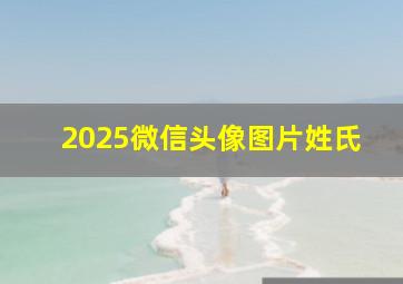 2025微信头像图片姓氏