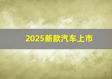 2025新款汽车上市