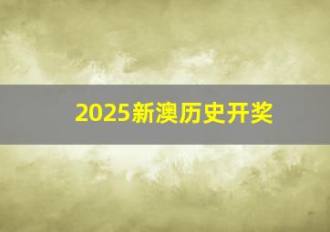 2025新澳历史开奖