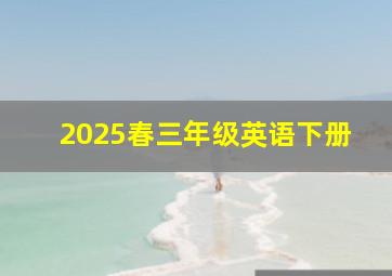 2025春三年级英语下册