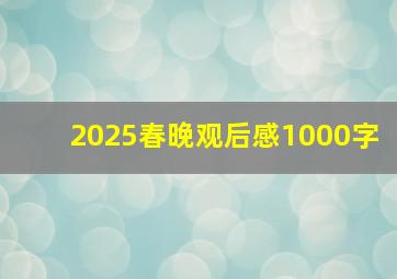 2025春晚观后感1000字