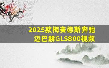 2025款梅赛德斯奔驰迈巴赫GLS800视频