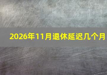 2026年11月退休延迟几个月