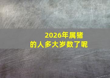 2026年属猪的人多大岁数了呢