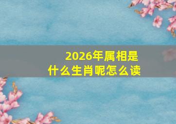 2026年属相是什么生肖呢怎么读