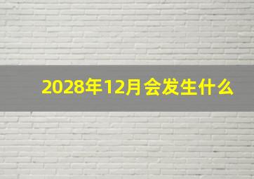 2028年12月会发生什么