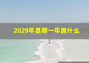 2029年是哪一年属什么