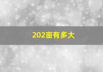 202亩有多大