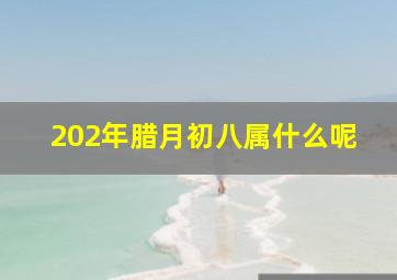 202年腊月初八属什么呢