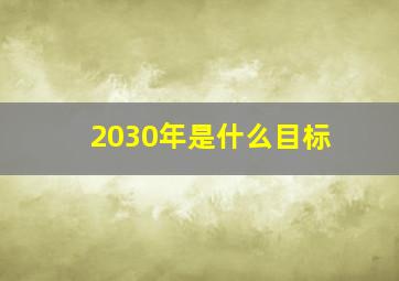 2030年是什么目标