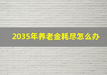 2035年养老金耗尽怎么办