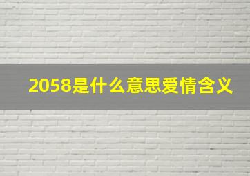 2058是什么意思爱情含义